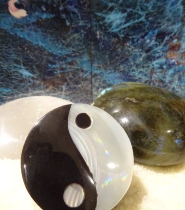 Stagiaires adhérents