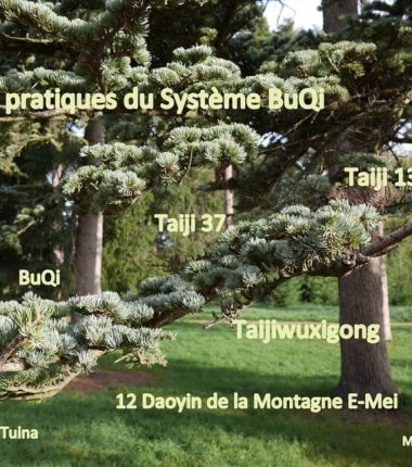 Les pratiques associées