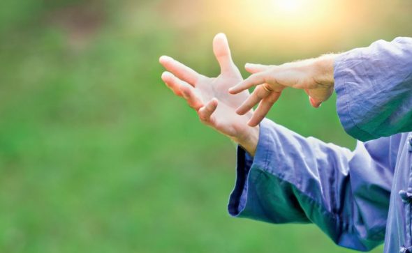 Les cours réguliers de TAIJIWUXIGONG à Buis-Les-Baronnies