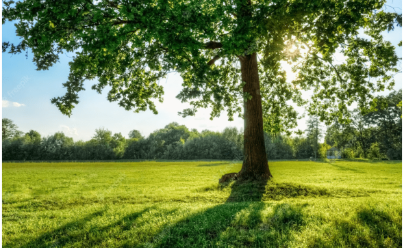 Les COURS d’été 2023 à Saint-Astier !