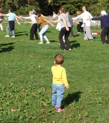 Le guide du débutant