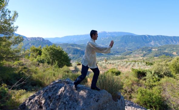 JOURNÉES de pratique de TAIJIWUXIGONG