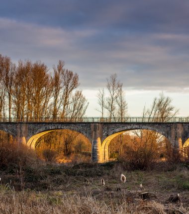 Actualités à Montrond les Bains (42)