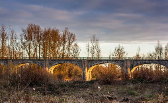 Actualités du BuQi® à Montrond les Bains !