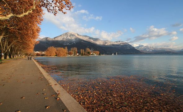 Actualités du BuQi® à Annecy à venir !