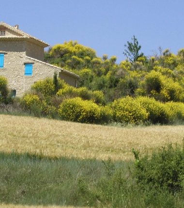 Actualités de BuQi® Provence (84)