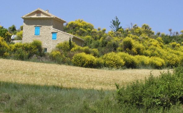 Actualités du BuQi® en Provence à venir !