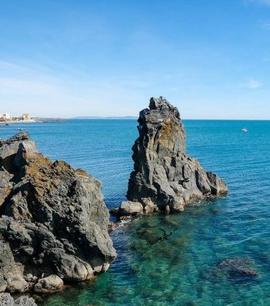 Actualités de l&rsquo;Atelier Ressource à Agde (34)