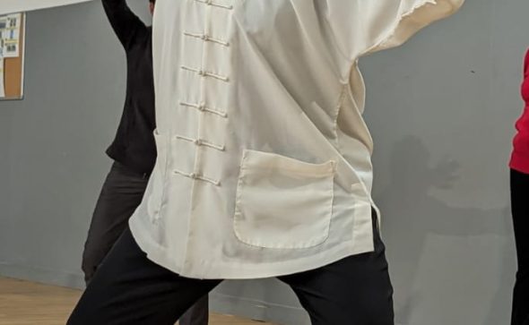 TAIJI 37 et TAIJIWUXIGONG au programme des journées du 26 au 30 Octobre