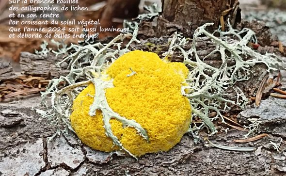 Bonne et heureuse année 2024