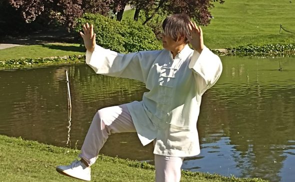 Renouvelez votre pratique,                                                              en découvrant Taiji 37 avec Maître Shen Jin !