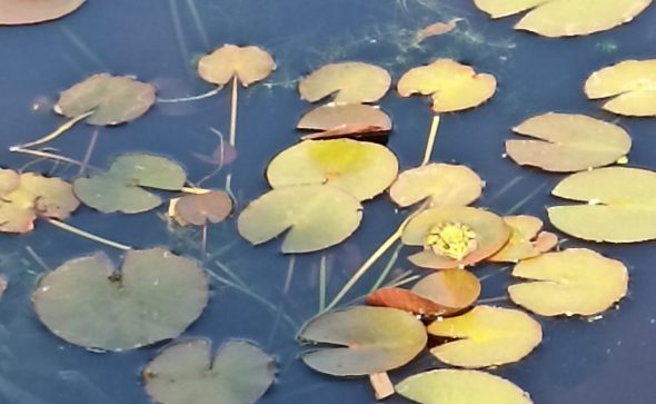 meilleurs voeux pour l’année 2025!