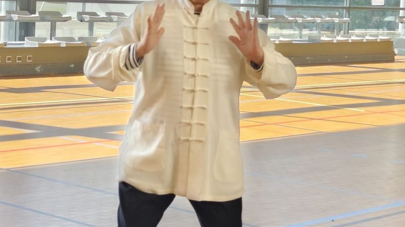 Taijiwuxigong et Taiji 37: deux journées de stage avec Maître Shen Jin